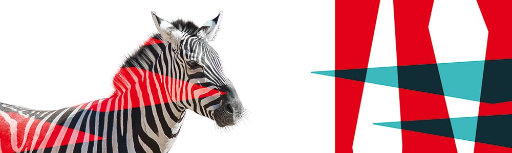 zebre et geometrie