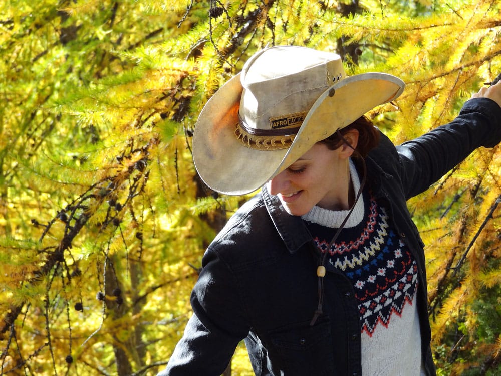 cowboy en automne jaune