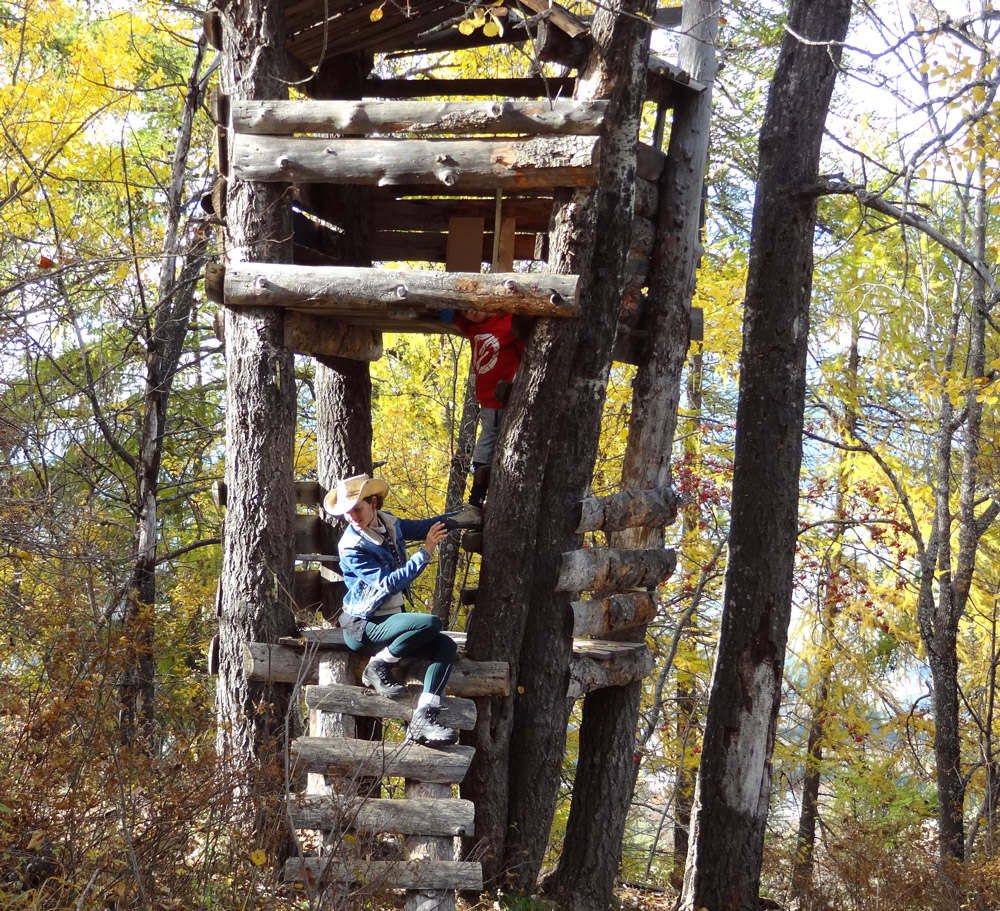 cabane géante en bois à la montagne