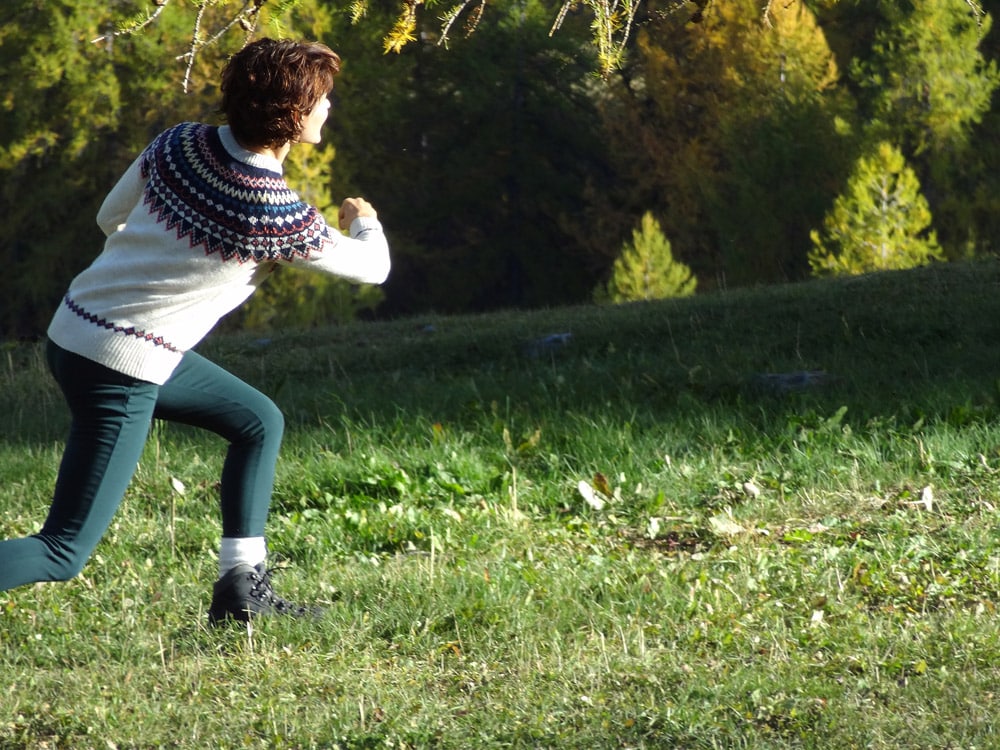 jeux de bataille de pommes de pins