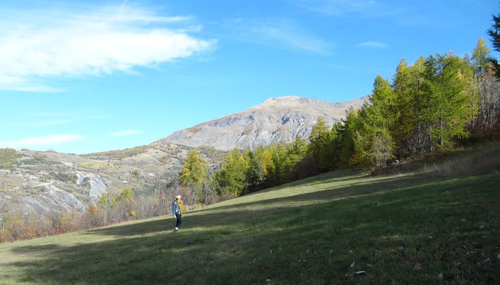 automne alpes sauze ubaye