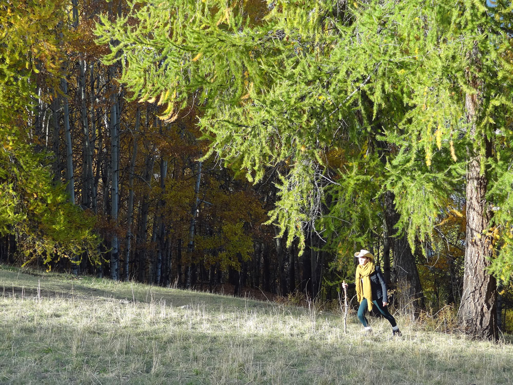 alpes automne balade