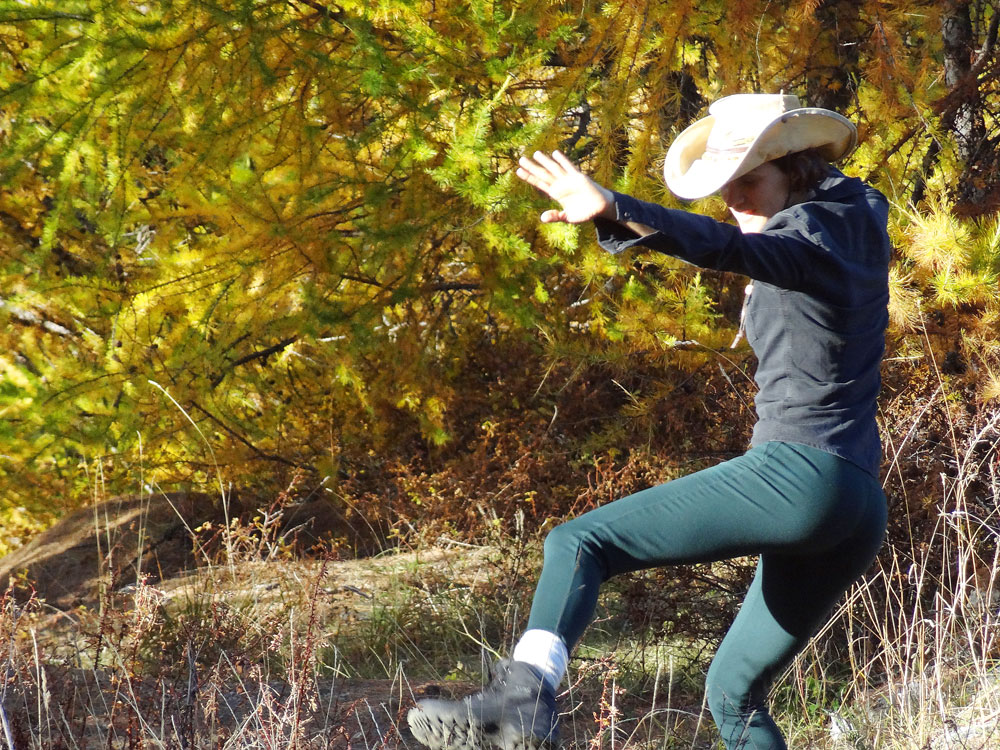 cowboy en balade dans l' ubaye