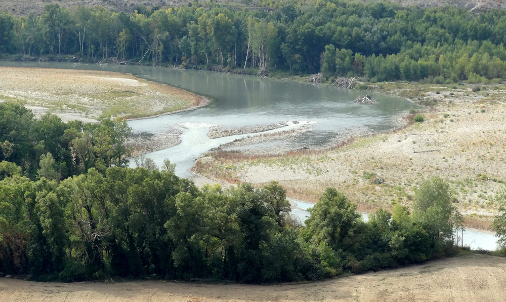 ladurance qui coule en automne