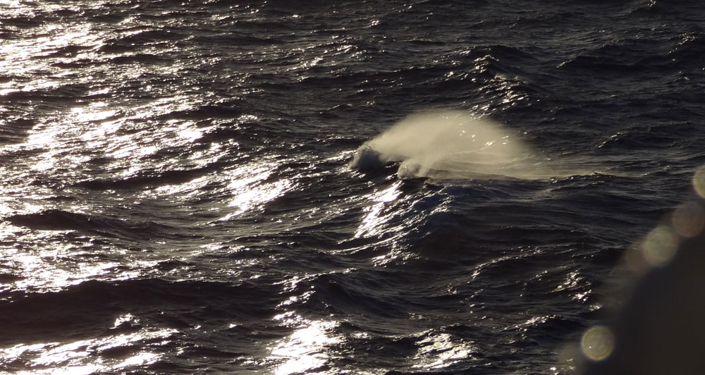 vagues pendant la traversée du voyage en Corse