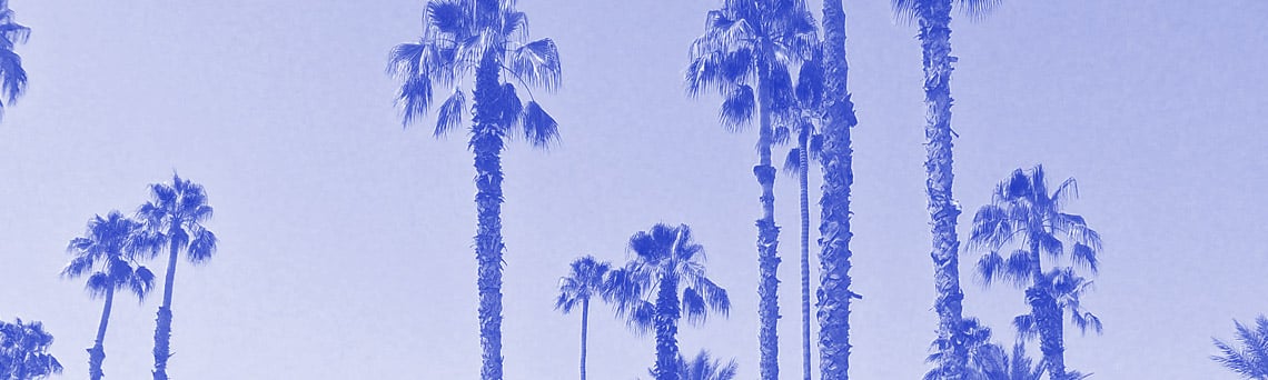 jardin exotique majorelle à Marrakech Maroc