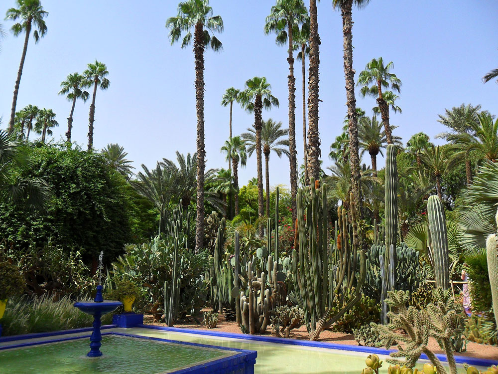 Marrakech jardin exotique palmeraie au centre de Marrakech 