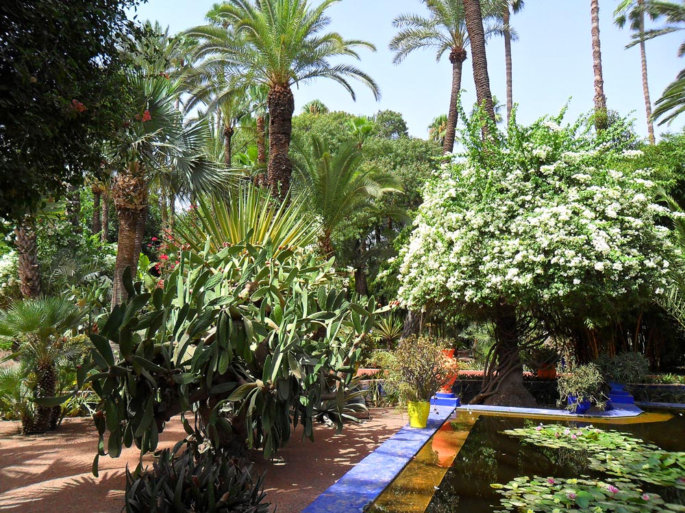 visiter Marrakech palmeraie jardin exotique blog