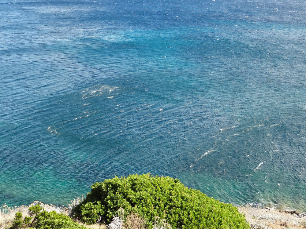 acces aux plages sauvages du cap corse trail en bord de mer