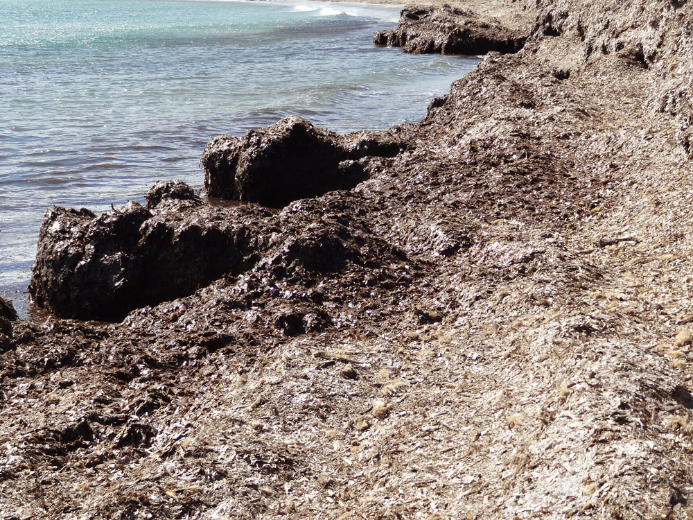 bord de mer belles plages sauvages en corse