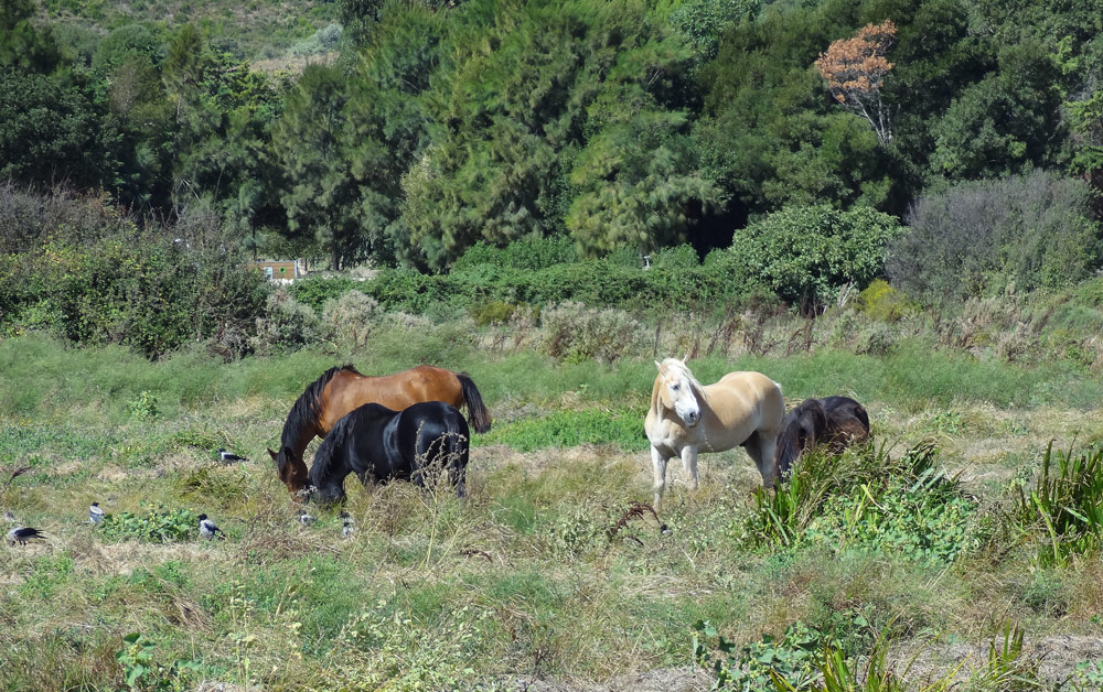 les plus beaux paysages de corse