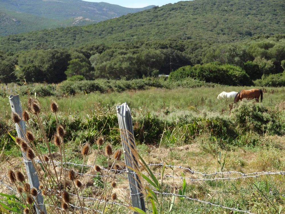 plus belles photos de corse sauvage randonnee