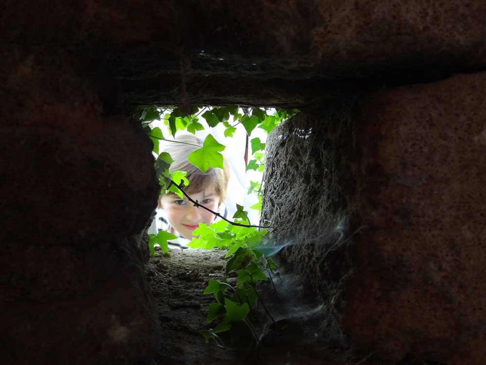 grotte au palmiers Peyrolles fête medievale