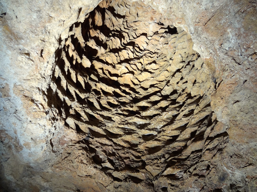 grotte aux palmiers fossiles fete medievale en Provence