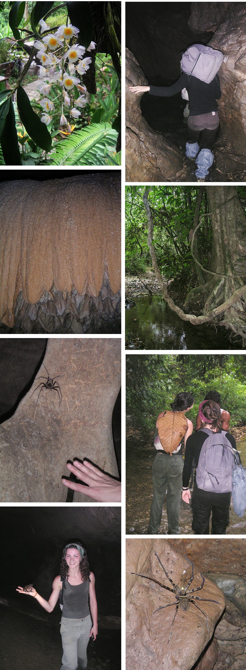 trekking dans la jungle de thailande-khao sok grotte thailande