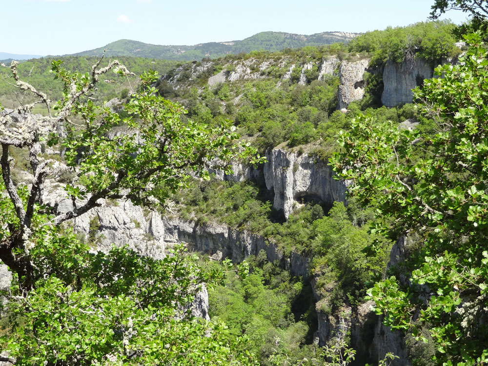  gorges d'Oppedette