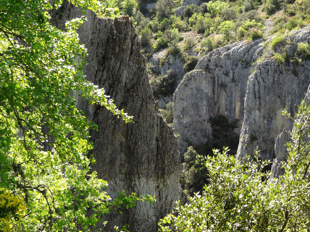  gorges d'Oppedette falaises karstiques