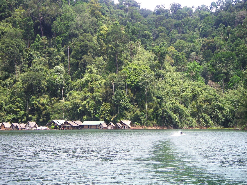 trekking dans la jungle de Thailande khao sok