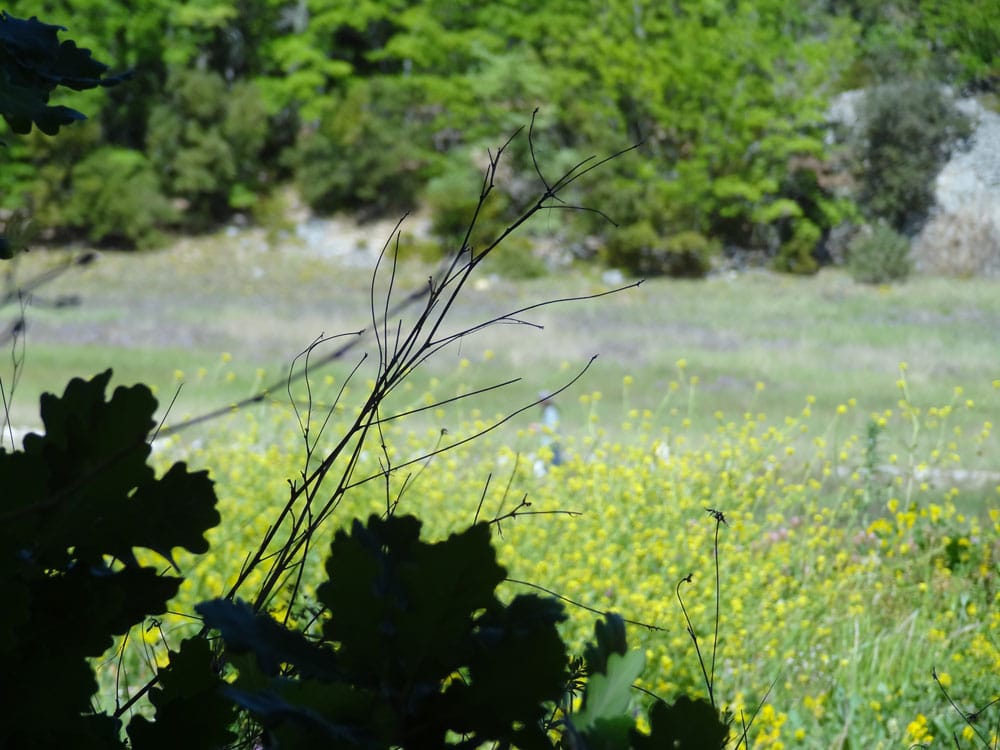 paysage de provence luberon oppedette