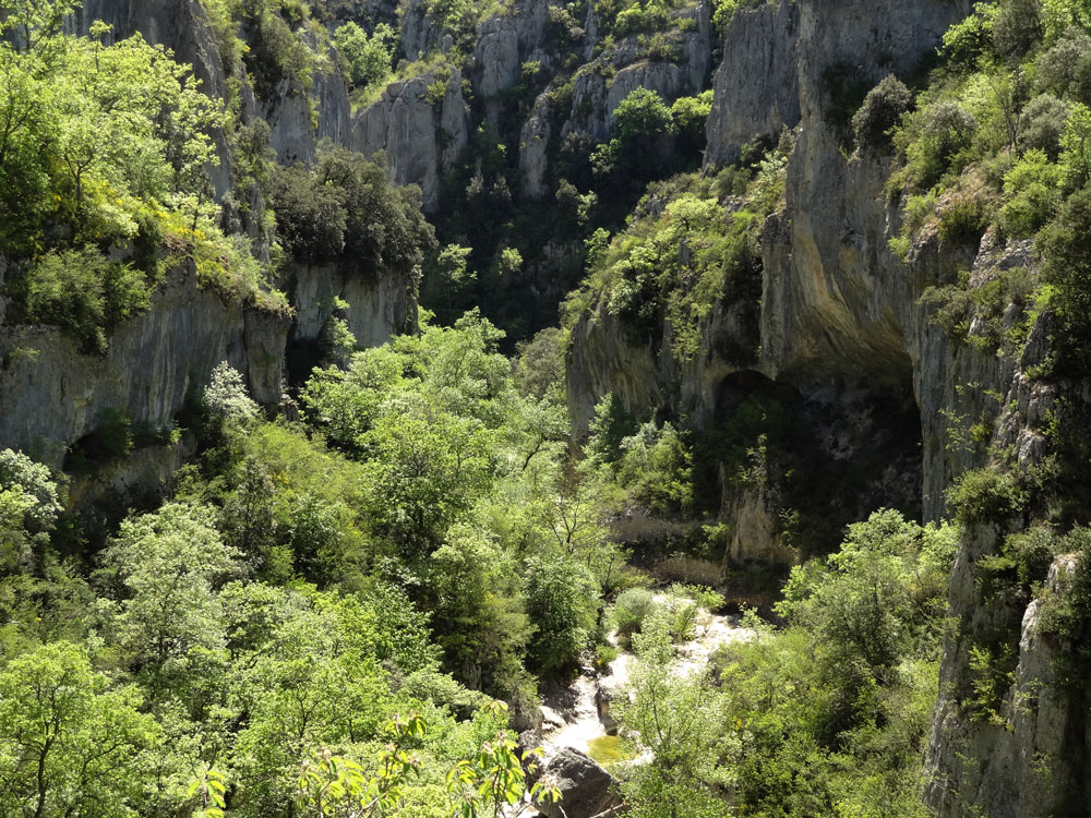 gorges d'Oppedette sorties en Provence