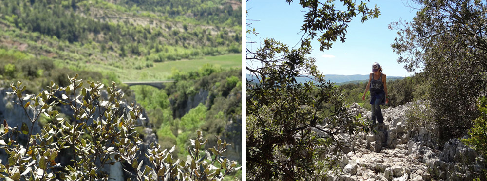 tour des gorges d'Oppedette luberon provence