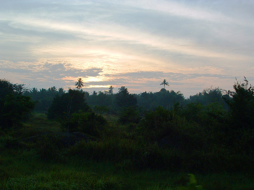 trekking dans la jungle de Thailande