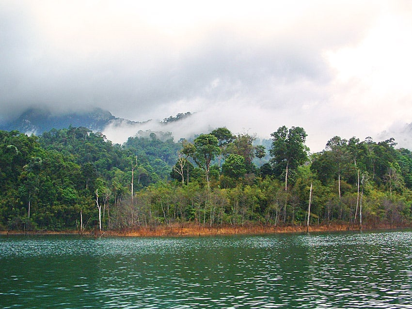 forêt vierge thaïlande vue du bateau