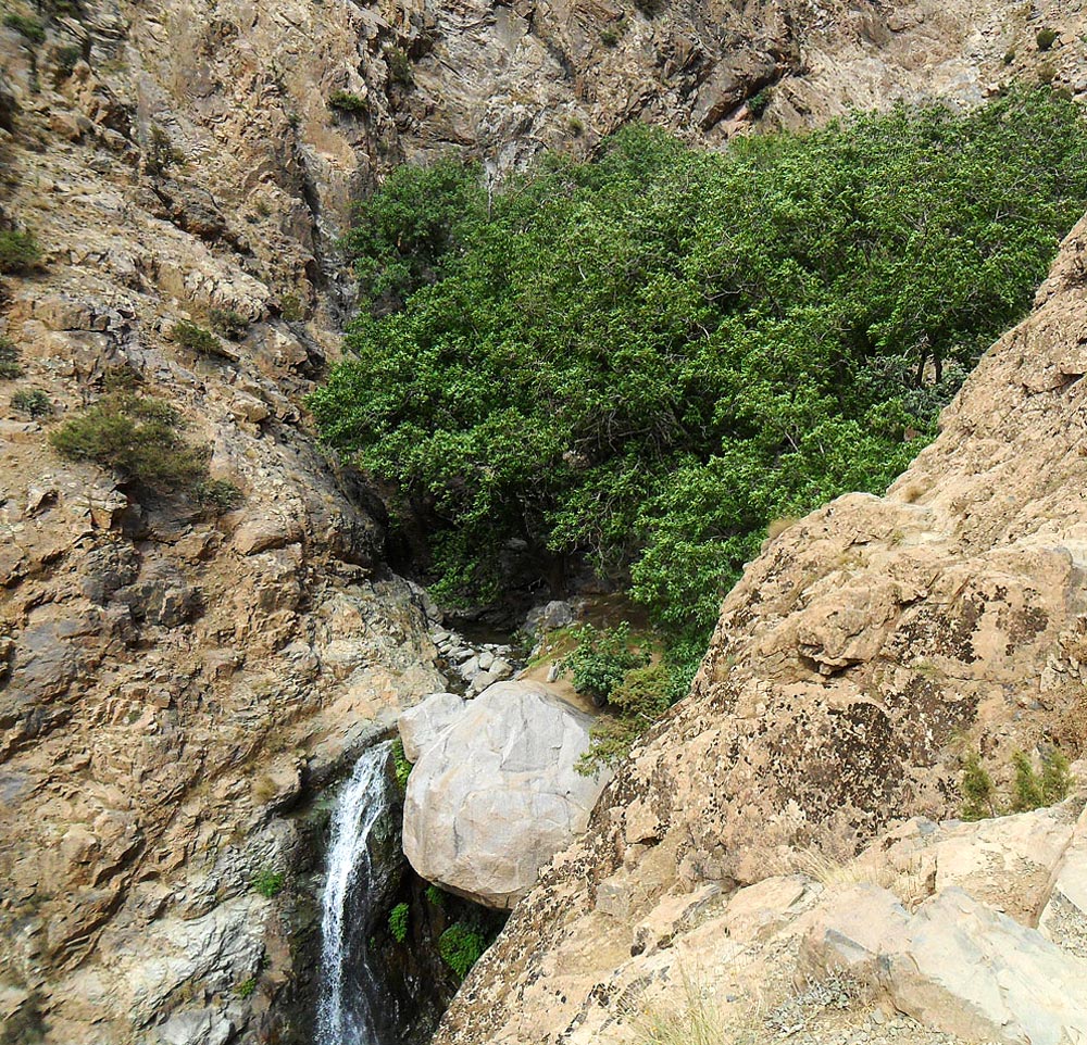 cascade excursion à faire ourika valley