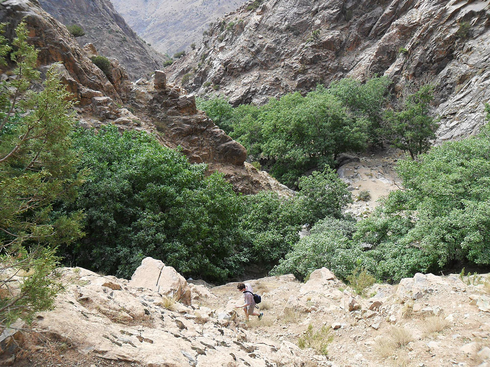 excursion maroc vallée de l'ourika