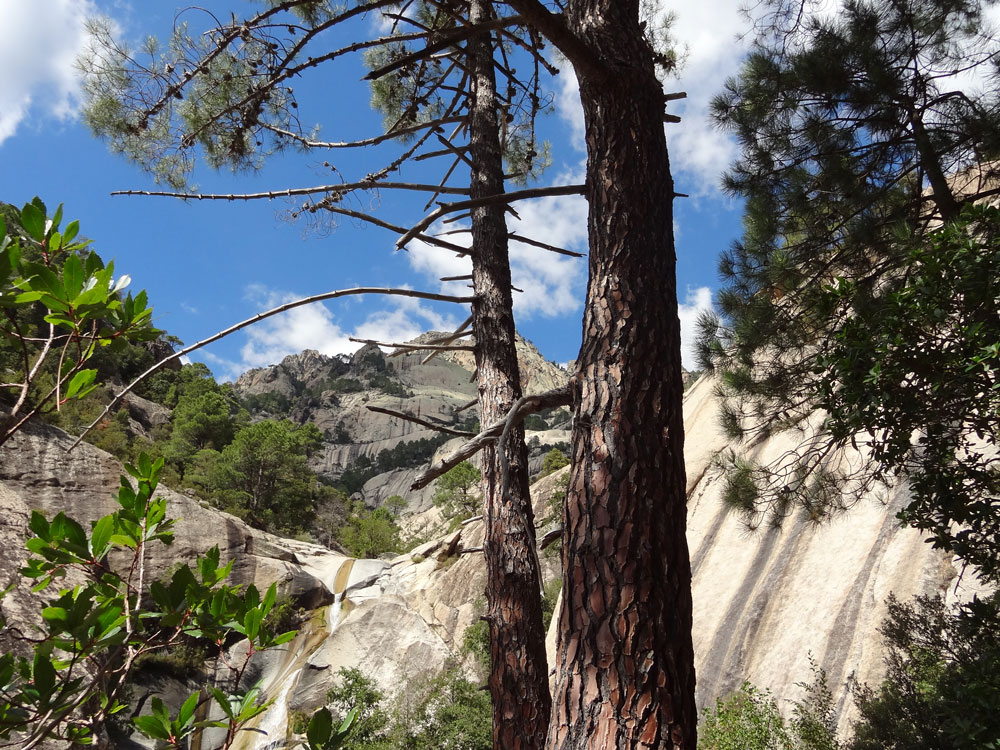 accès cascades de Bavella