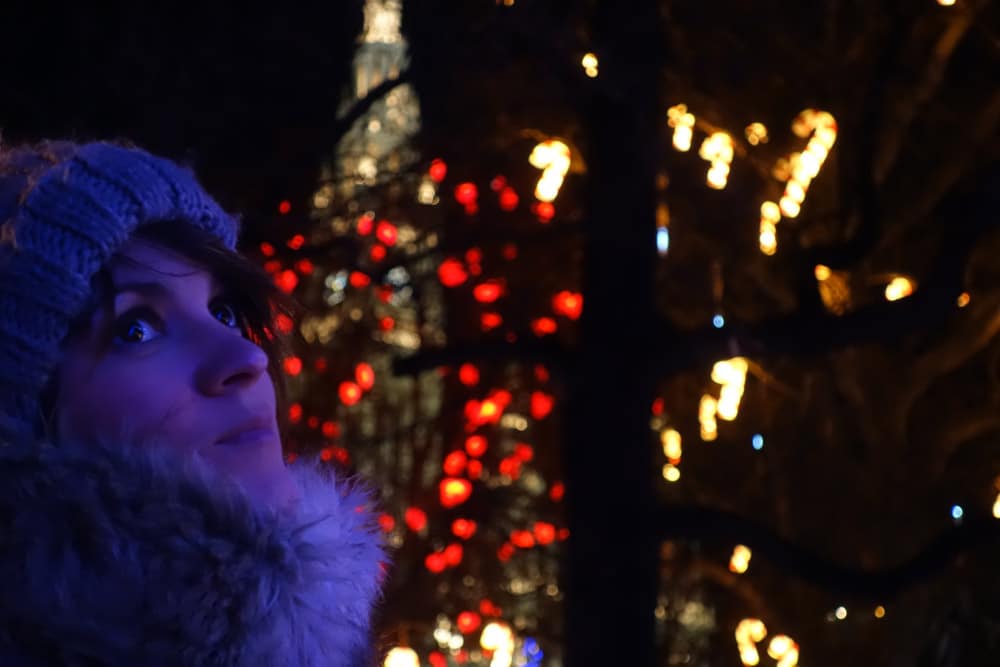 fete-des-lumieres-marchés de noël -vienne