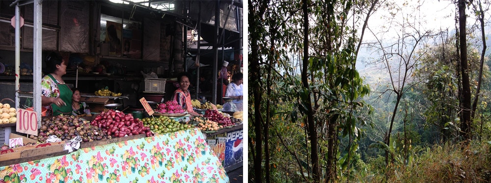 trek à Chiang Mai en Thailande