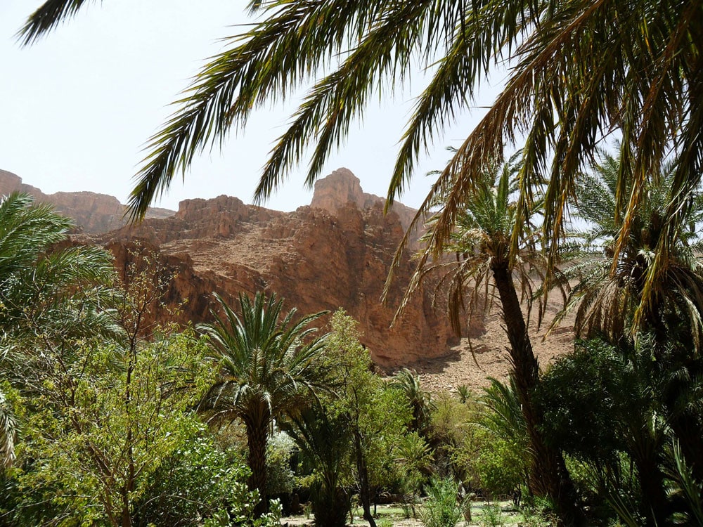 gorges-ait-mansour-sud-du-maroc-anti-atlas