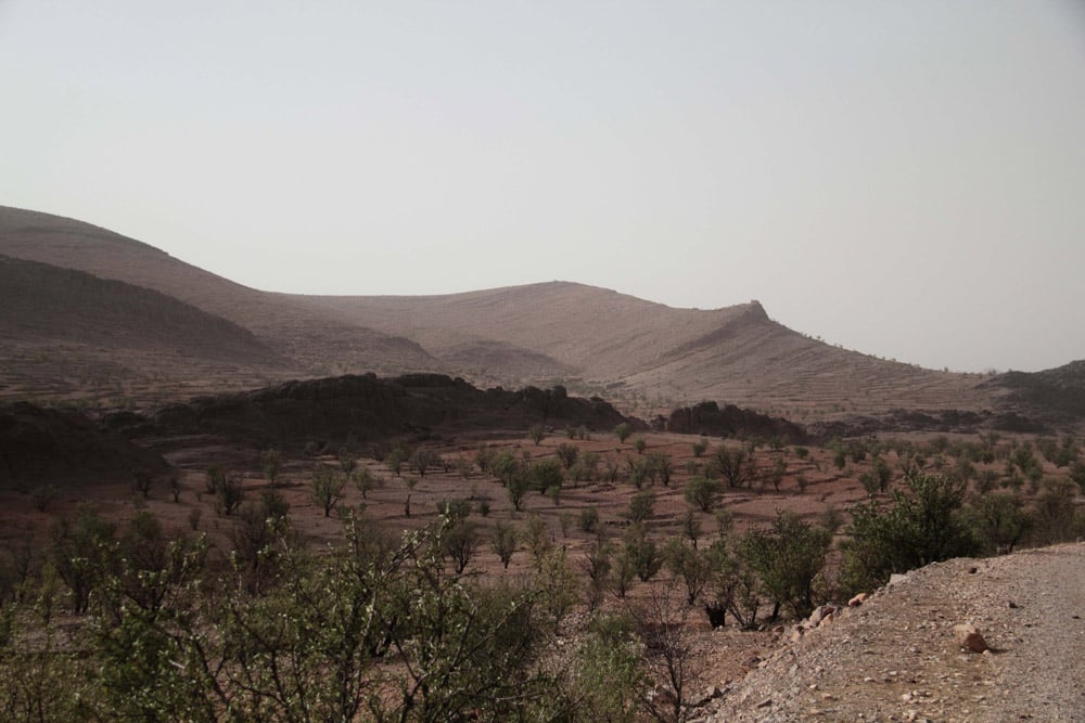 sud-de-taroudant-et-tafraoute-desert-maroc