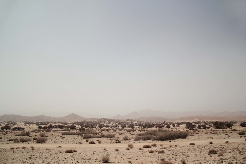 tafraoute-vacances-au-maroc-insolite-road-trip