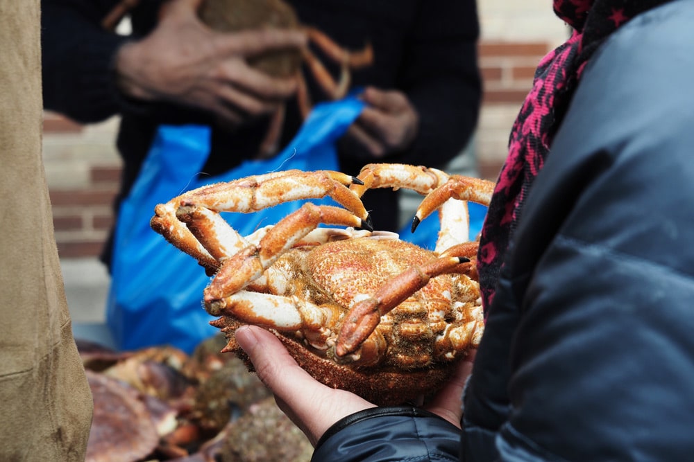 tourteaux marché des Lices Rennes Bretagne