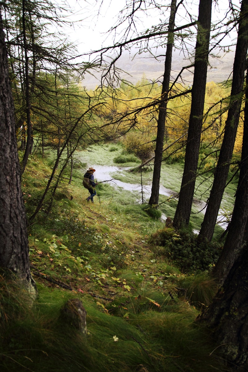 Randonnée et trek en France Alpes