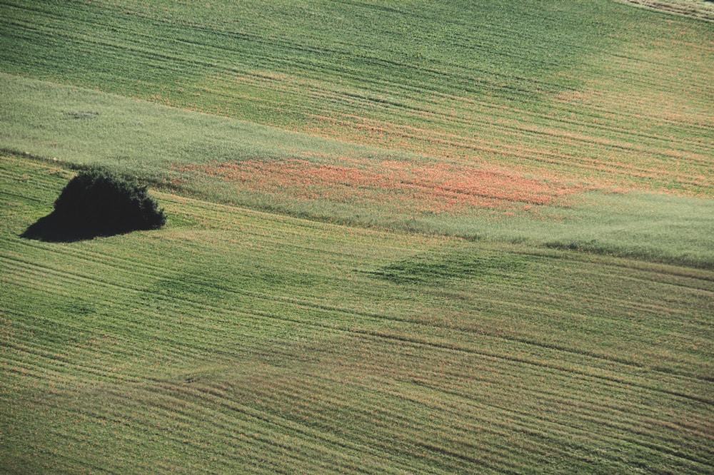 faire de la montgolfière Ardèche Haut Vivarais