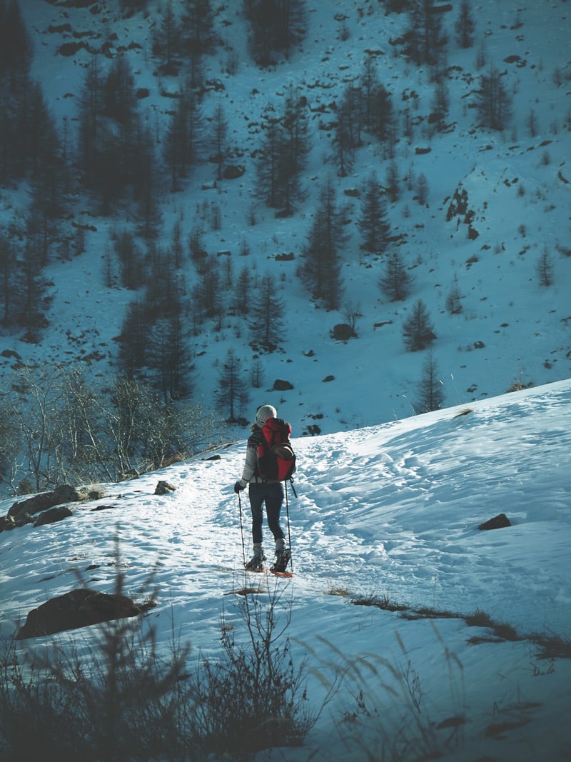 faire des raquettes dans les Alpes conseils et avis