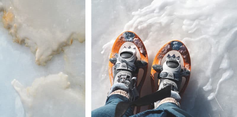 Quelles raquettes dans les Alpes en hiver