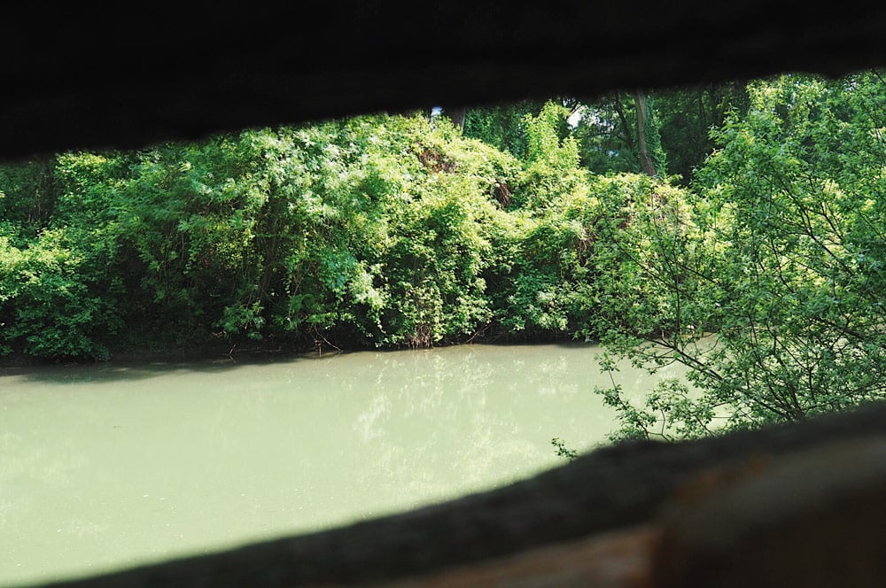 Promenade Via Rhôna : observer les oiseaux de l'ïle du Beurre