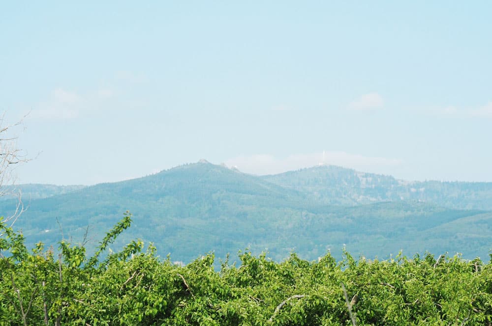 Paysage du Parc du Pilat vue sur le Pic des 3 Dents Malleval