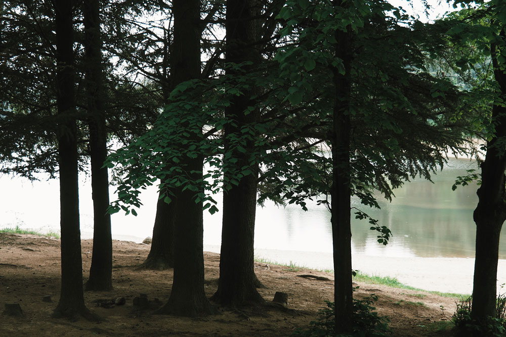 promenade autour du lac du Ternay Loire