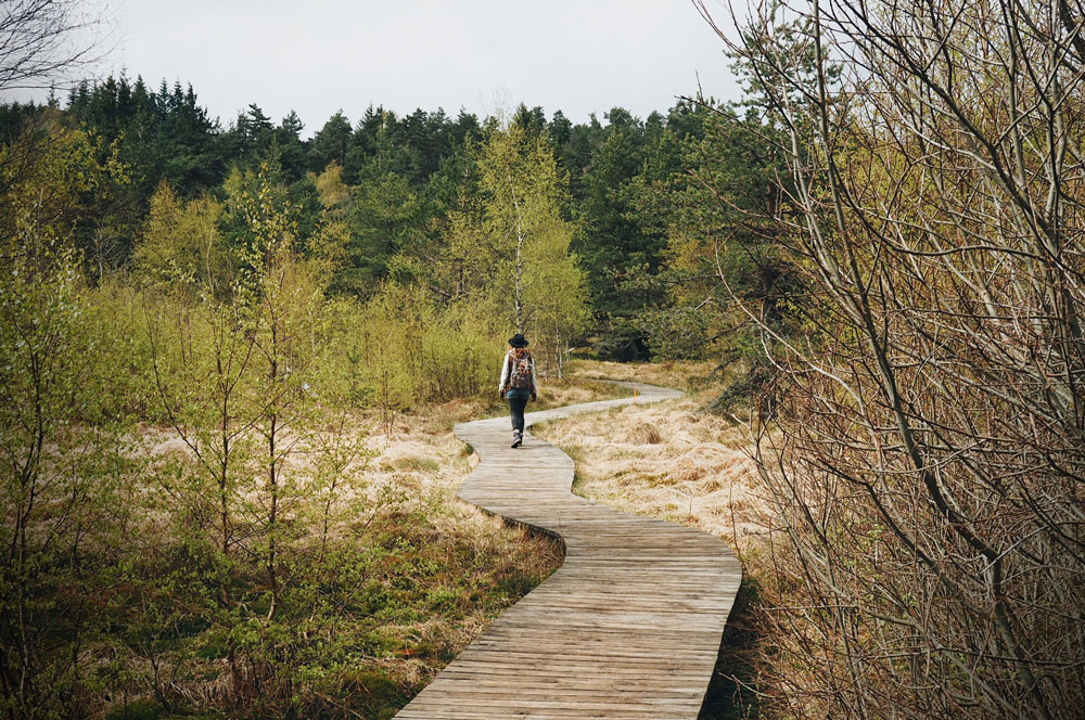 Promenade Gimel dans le massif du Pilat Loire