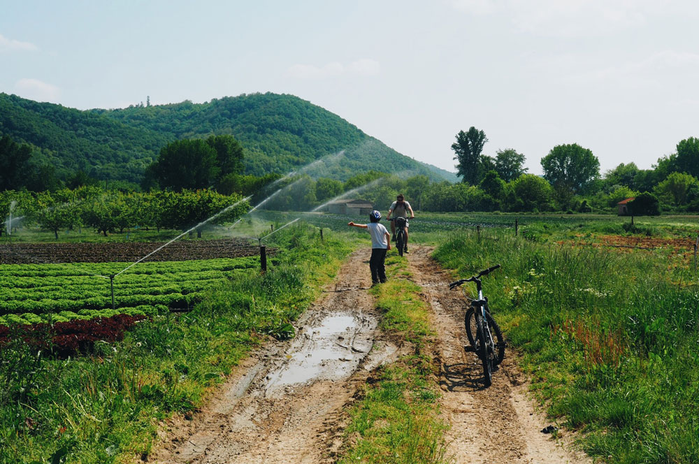 Promenade à vélo île du beurre Via Rhôna Condrieu