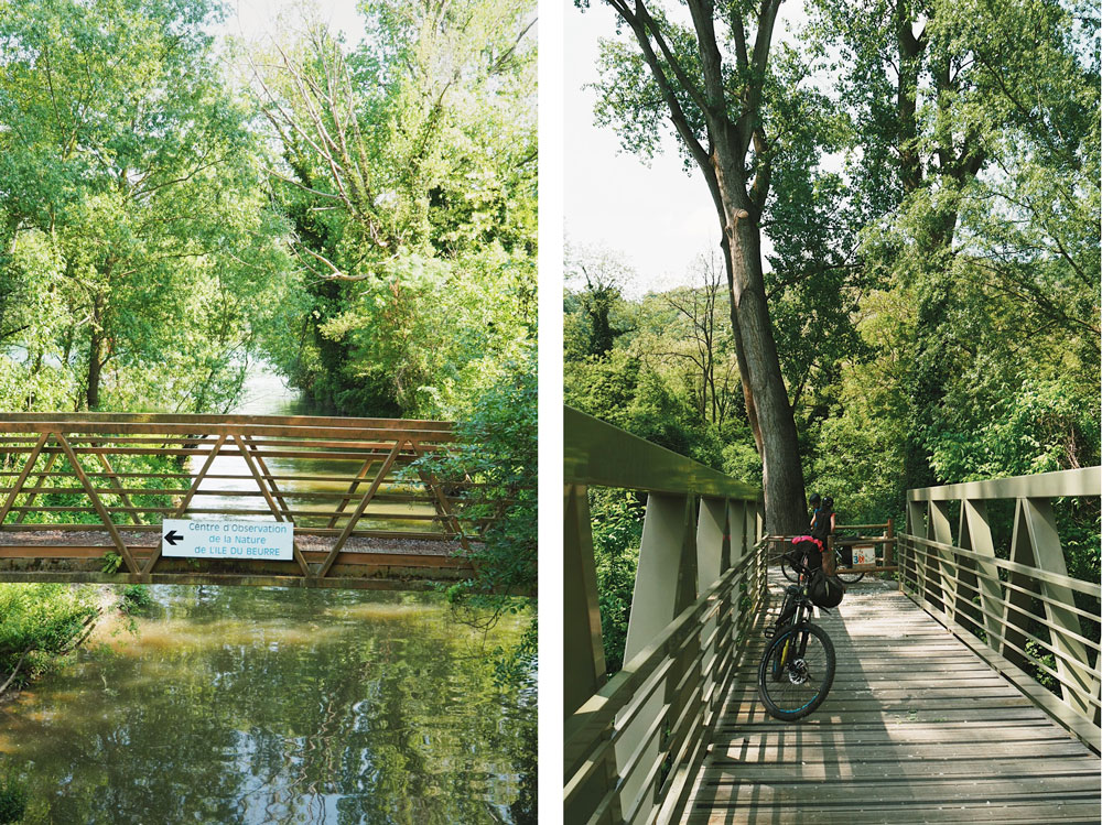 Quoi faire à Condrieu ? l' île du beurre en vélo