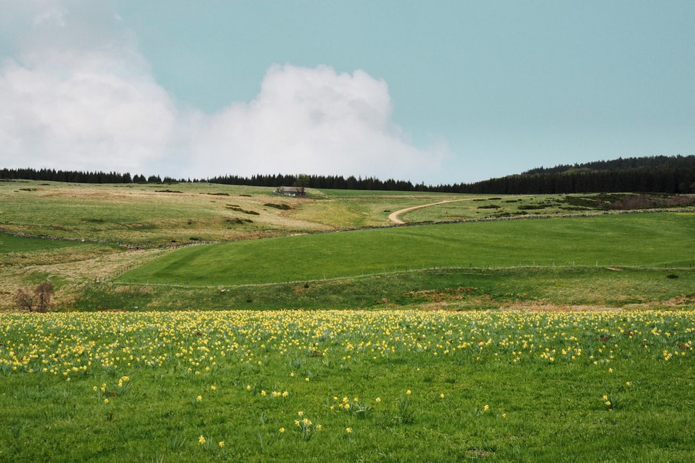 Sentier GR65 Compostelle Puy en Velay par la Via Podiensis