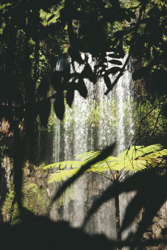 Circuit des cascades au sud de Cairns Australie