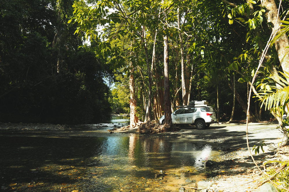 Daintree forest piste de Cape Tribulation en Australie