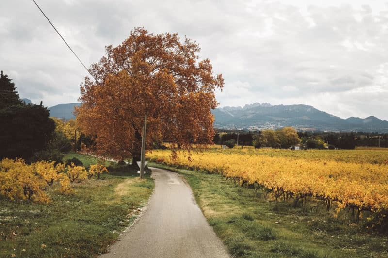 Guide complet visite du Vaucluse en automne